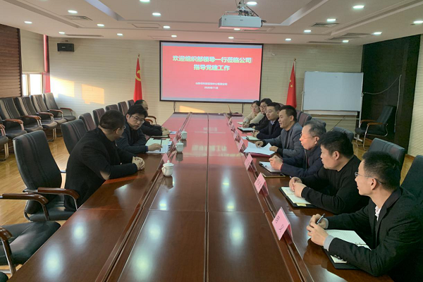 省委组织部一行到公司指导党建工作